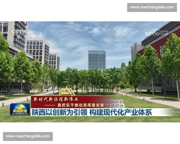 以组织能力为核心驱动高质量发展与持续创新的系统构建之道