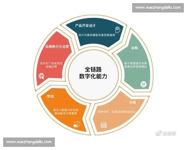 以业务闭环驱动增长的全链路运营与价值提升策略研究实践路径探索 以业务闭环驱动增长的全链路运营与价值提升策略研究实践路径探索
